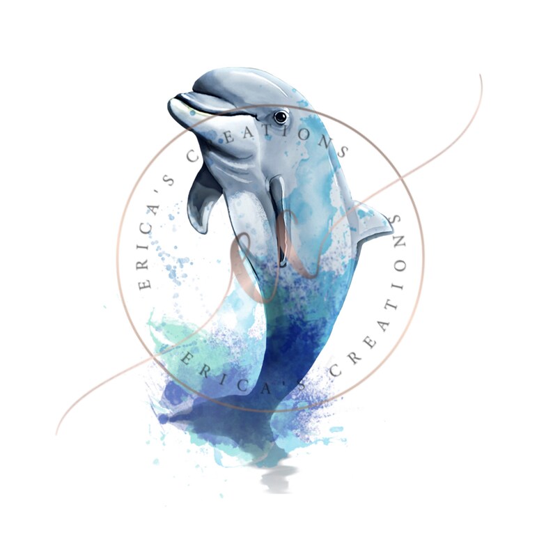 laser dolphin america laser dolphin america