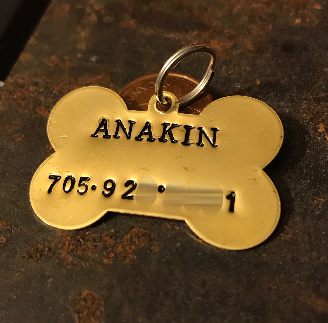 Brass Dog Tag Brass Name Tag Dog Name Tag Canine ID Tag Etsy