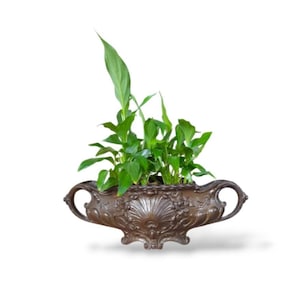 Cast iron jardiniere, planter, baroque style, home decoration