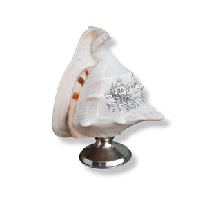 Può includere: Una conchiglia bianca con un disegno di nave argentata inciso sulla superficie. La conchiglia è montata su un piedistallo argentato.