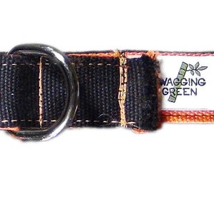 Éco Hip ! Collier pour chien à boucle double couche - Spooky (Orange / Noir)