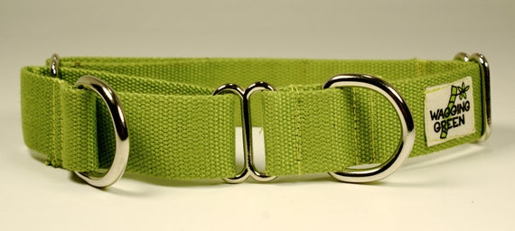 Bamboo dog collar online