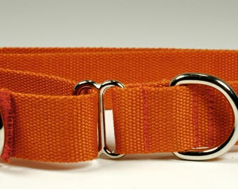 Eco Friendly Bamboo Double Layer Martingale Dog Collar - Falling Leaves