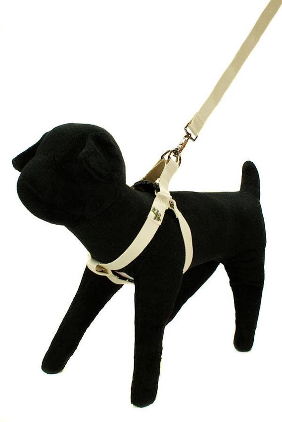 eco friendly dog harness