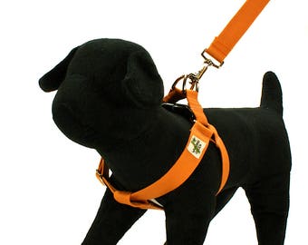 Eco Friendly Bamboo Double Layer Step-In Dog Harness – Falling Leaves (orange)