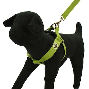 Eco Friendly Bamboo Single Layer Step-In Dog Harness - Bamboo Zen (Green)