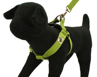 Eco Friendly Bamboo Single Layer Step-In Dog Harness - Bamboo Zen (Green)