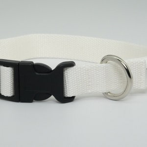Eco Friendly Bamboo Single Layer Buckle Dog Collar - Natural