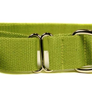 Eco Friendly Bamboo Single Layer Martingale Dog Collar - Bamboo Zen (green)