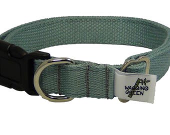 Eco Friendly Bamboo Double Layer Buckle Dog Collar - Aqua Grey 1" Width