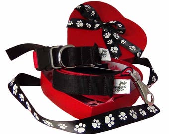 Eco Friendly Bamboo Martingale Dog Collar and Leash Valentine Gift Set