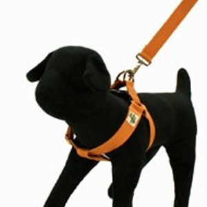 eco friendly dog harness