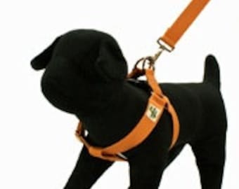 Eco Friendly Bamboo Single Layer Step-In Dog Harness – Falling Leaves (orange)