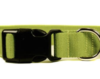 Eco Friendly Bamboo Single Layer Buckle Collar - Bamboo Zen (green)