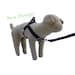 see more listings in the Dog Harnesses section