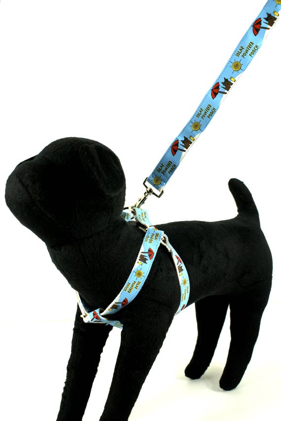 Eco Friendly Bamboo Save the Earth 'solar Power Pooch' Step-in