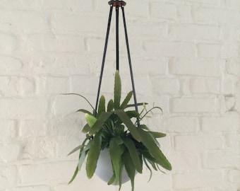 Limited addition Ceiling Swivel Plant Hanger, plant holder, plant hanger, plant pot, plants