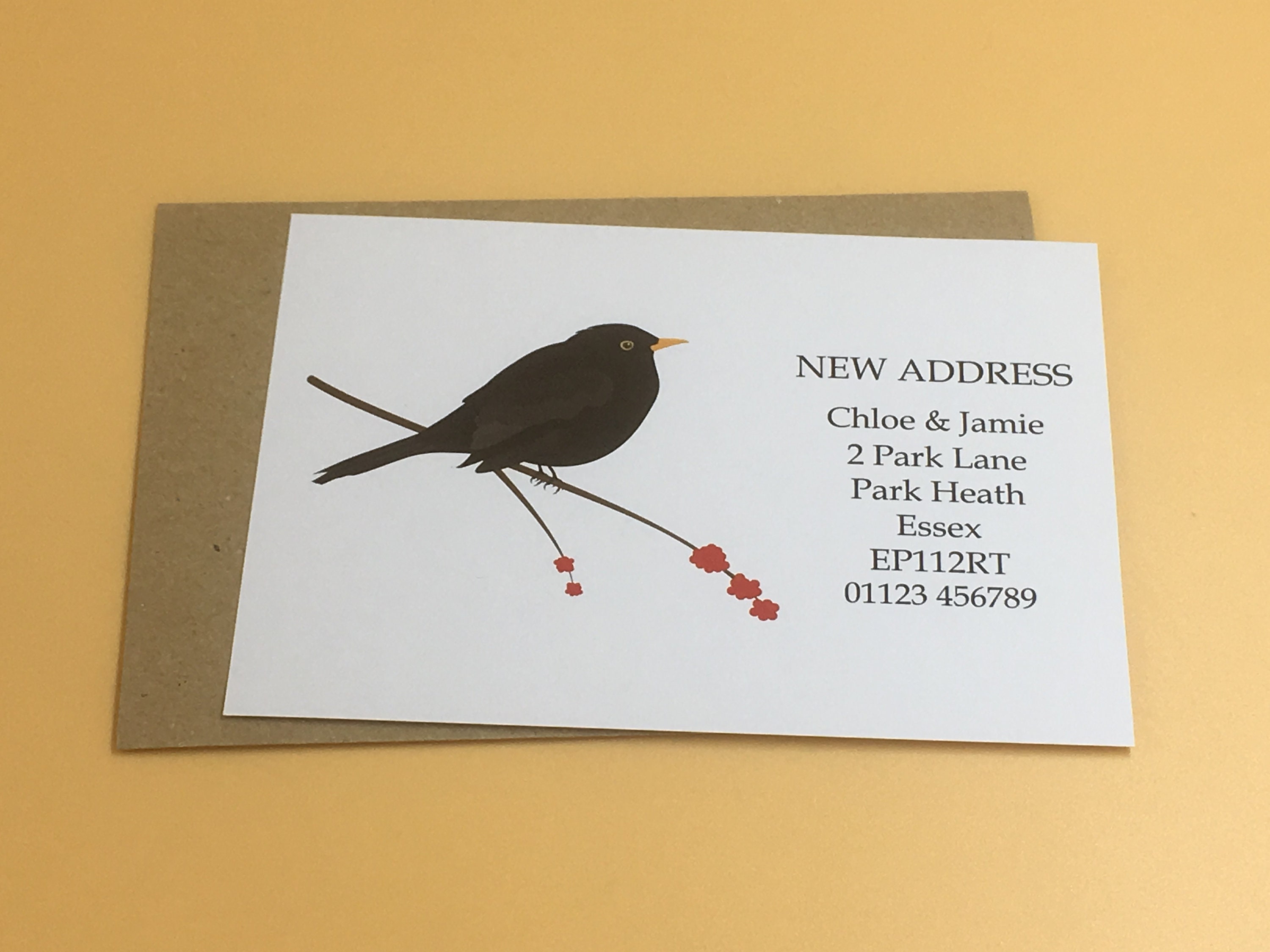 Personalised Change Of Address Cards - Pack Of 10 With Envelopes, Ladybug Theme (Red, UK Made)
