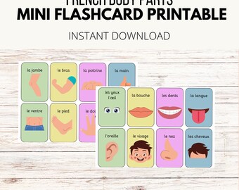 French Body Parts Language Learning Flashcards Classroom Wall Display