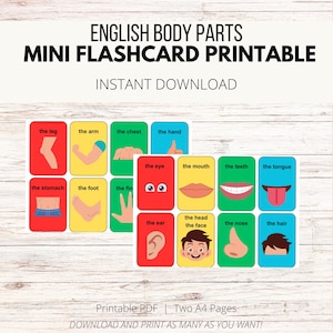 May include: Printable flashcards for learning English body parts. The cards feature colorful illustrations of body parts, such as the leg, arm, chest, hand, eye, mouth, teeth, tongue, stomach, foot, fin, ear, head, face, nose, and hair. The text "English Body Parts Mini Flashcard Printable Instant Download" is at the top of the image.