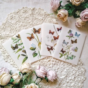 Butterflies - Translucent Envelopes ~ Natural History Stationery ~ Handmade Envelopes ~ Pen Pal Gift ~ Entomology