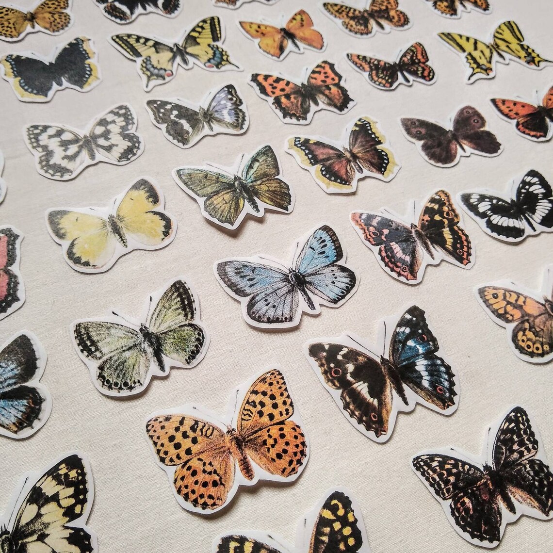 vintage butterfly stickers etsy