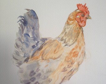 Original chicken watercolour print