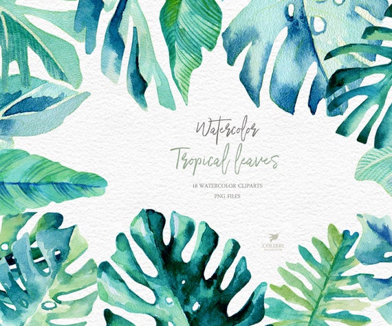 Tropical Leaves Clipart Watercolor Tropical Set Green Etsy
