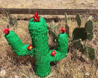 Cactus Piñata