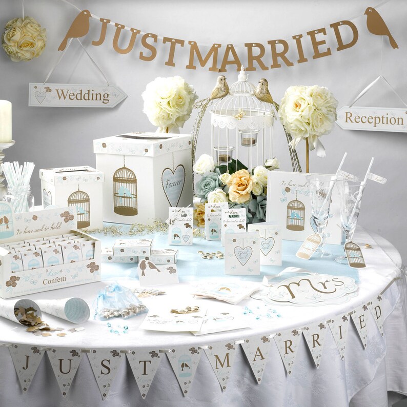 Engaged Gift Bride Wedding Baby Girl Bridal Stripe Straws Paper Straws Birthday Hen Do Wedding Pack 25 Party Pale Blue Straws