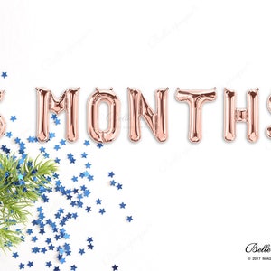 6 MONTHS Rose Gold Balloons Party Balloons Balloon Balloons, Gold Silver Letters Banner, milestone, Garland Balloon, Birthday baby