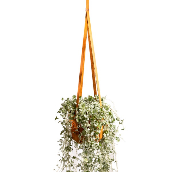 Alta Andina Leather Plant Hanger | Hanging Planter for Indoor Plants, Cactus, Succulents (Brown - Miel)