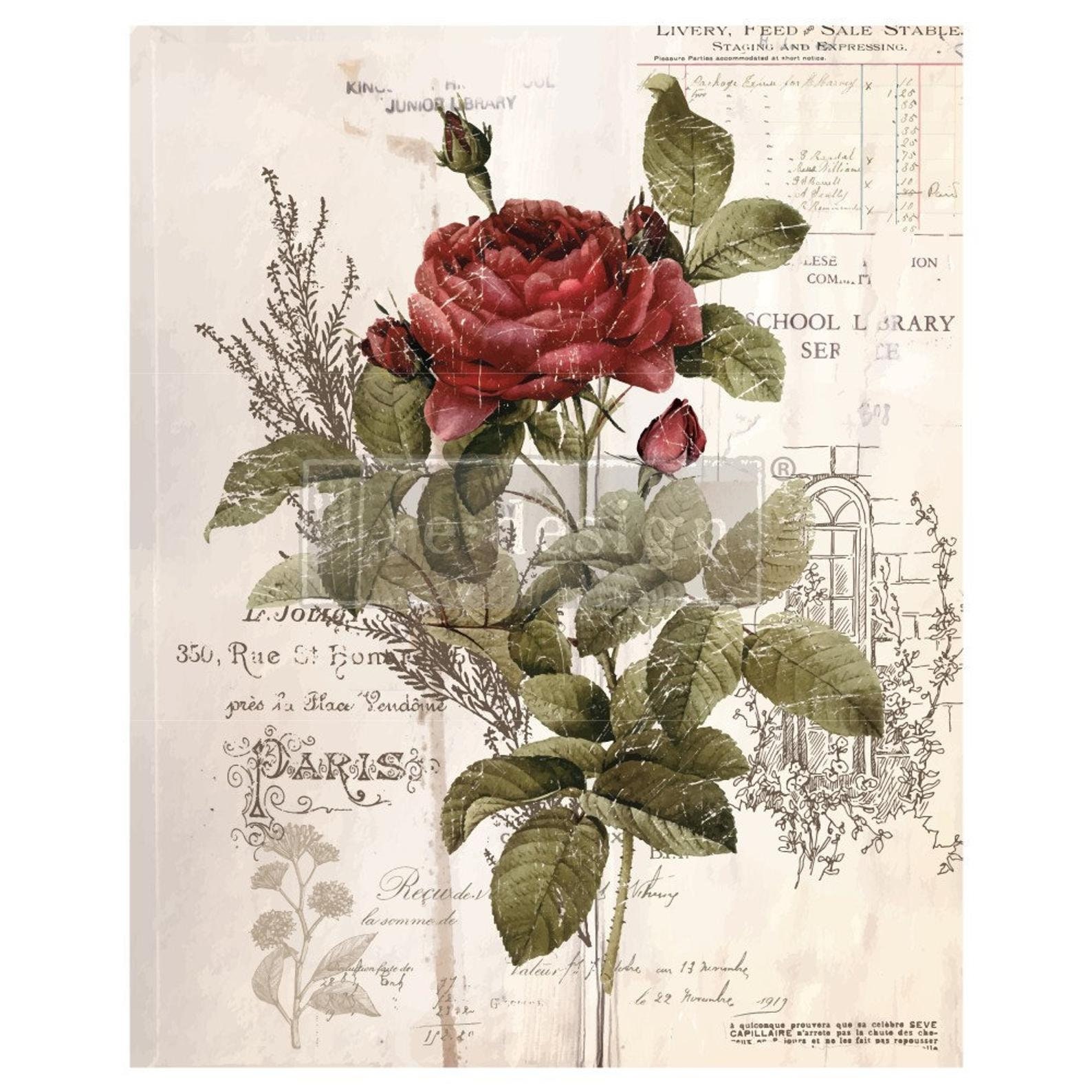 Prima Rose Transfer - Etsy