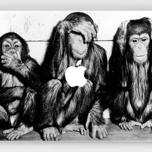 Może przedstawiać: Trzy szympansy, każdy zakrywający inną część twarzy. Szympans po lewej zakrywa usta, szympans pośrodku zakrywa oczy, a szympans po prawej zakrywa uszy. Szympansy siedzą w rzędzie, a szympans pośrodku ma logo Apple na klatce piersiowej.