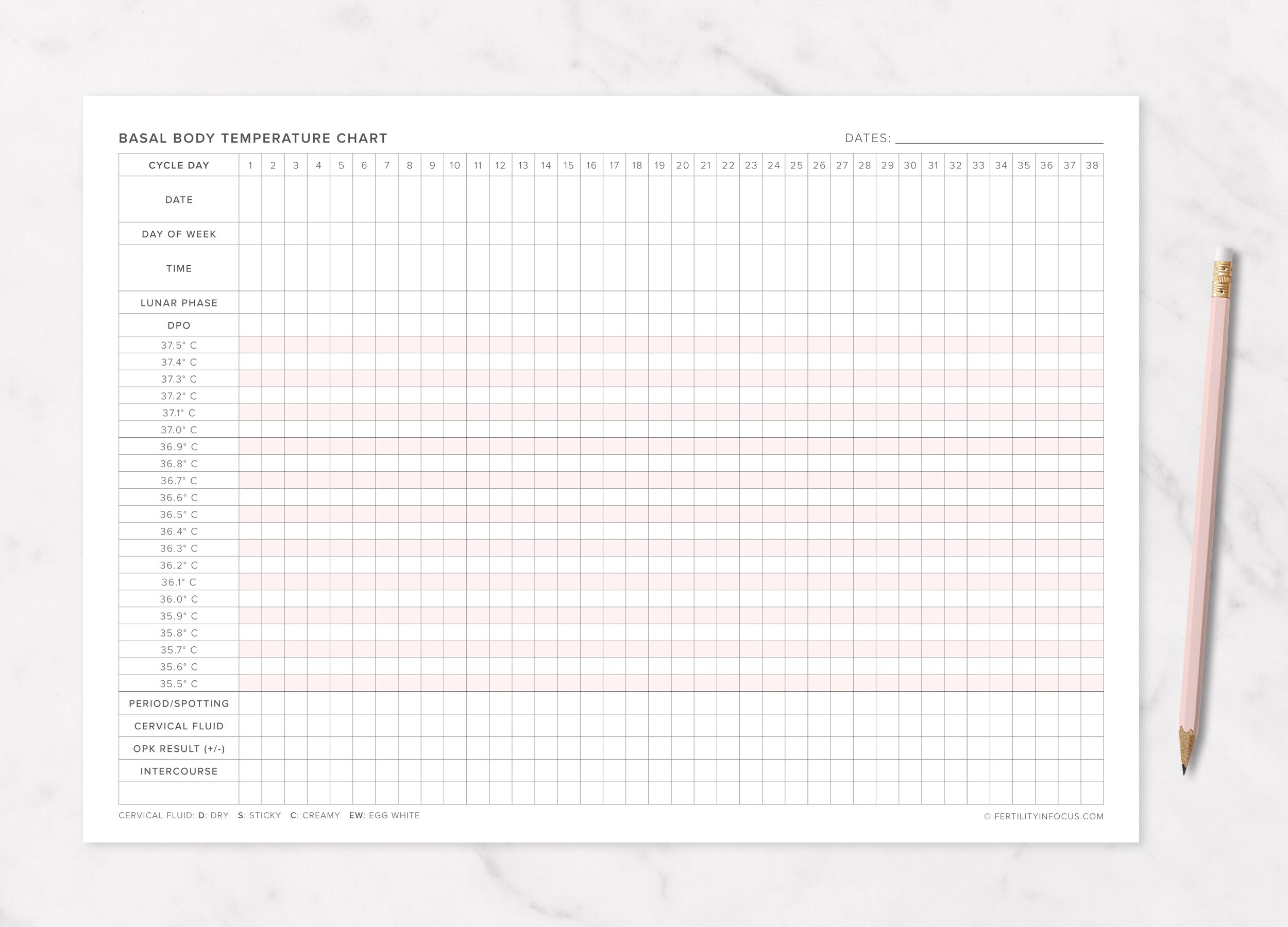 Free Printable Basal Body Temperature Chart