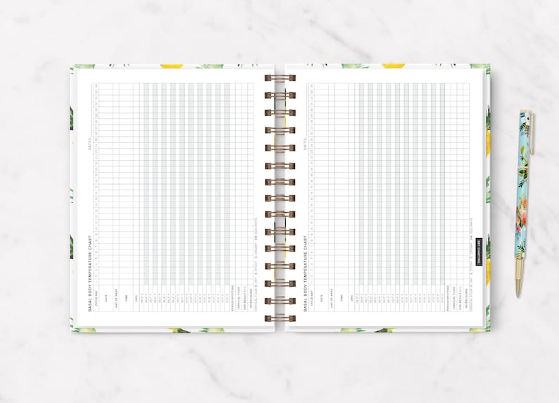 The Undated IVF Planner: Pineapple IVF Journal, Ivf Diary, Iui Planner, Iui Journal, TTC Planner, Ttc Journal image 7