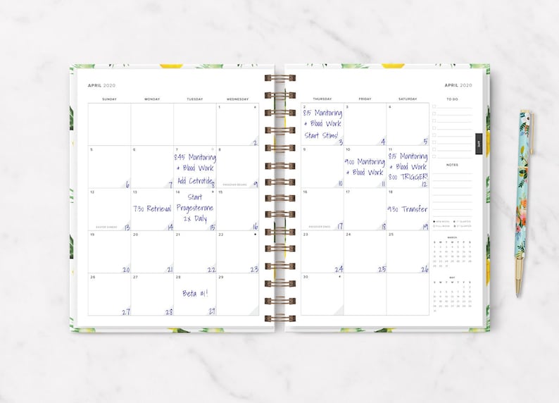 The 2020 IVF Planner: Pineapple IVF Journal Ivf Diary Iui image 2