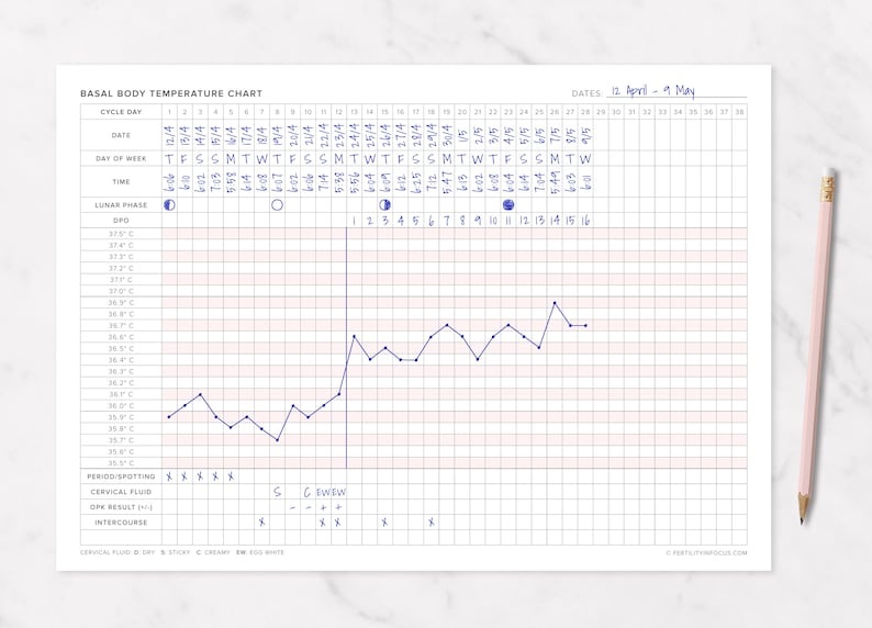 Basal Thermometer Chart