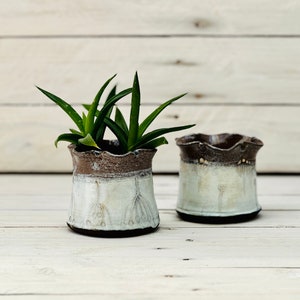 Wavy Rim Ceramic Succulent Planter with Drainage image 1