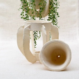 Può includere: Due vasi in ceramica bianca, uno con un design geometrico e l'altro di forma rotonda semplice. Entrambi i vasi sono vuoti e pronti per le piante.
