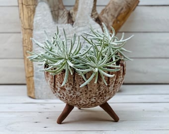 Three Legged Ceramic Planters, Decorative House Plant Holders