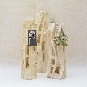 May include: Three off-white ceramic vases with a textured, organic design. Each vase has a unique shape with cut-out sections. One vase holds a small air plant. A black tag with white text hangs from one vase.