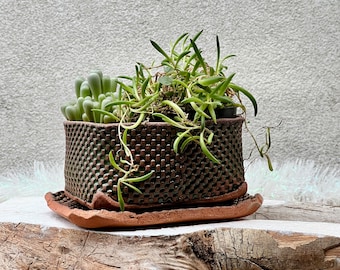 Rustic Shallow Drainage Planter with Drainer