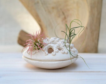 Openwork Disc Ceramic Air Plant Holder