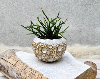 Full Moon Succulent Pot Cover