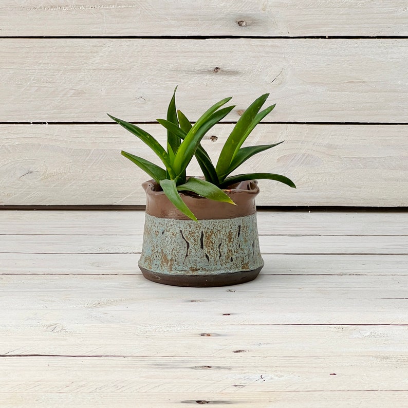 Wavy Rim Ceramic Succulent Planter with Drainage image 7