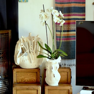 Puede incluir: Jarrón de cerámica blanco con un diseño orgánico y texturado, que contiene una planta de orquídea blanca con hojas verdes. El jarrón está colocado en un estante de madera con un segundo jarrón similar en el estante de arriba.