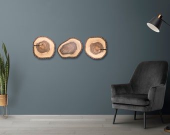 Wooden Wall Art, Decor from a Walnut Cross-Section. Painting