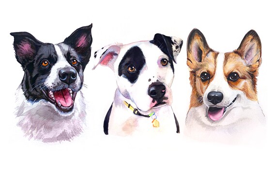 Three Dogs Images Stock Photos Vectors Shutterstock
