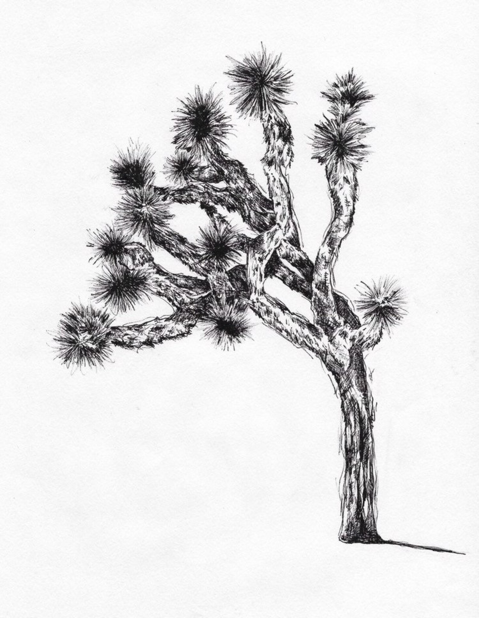Joshua Tree Prints Etsy